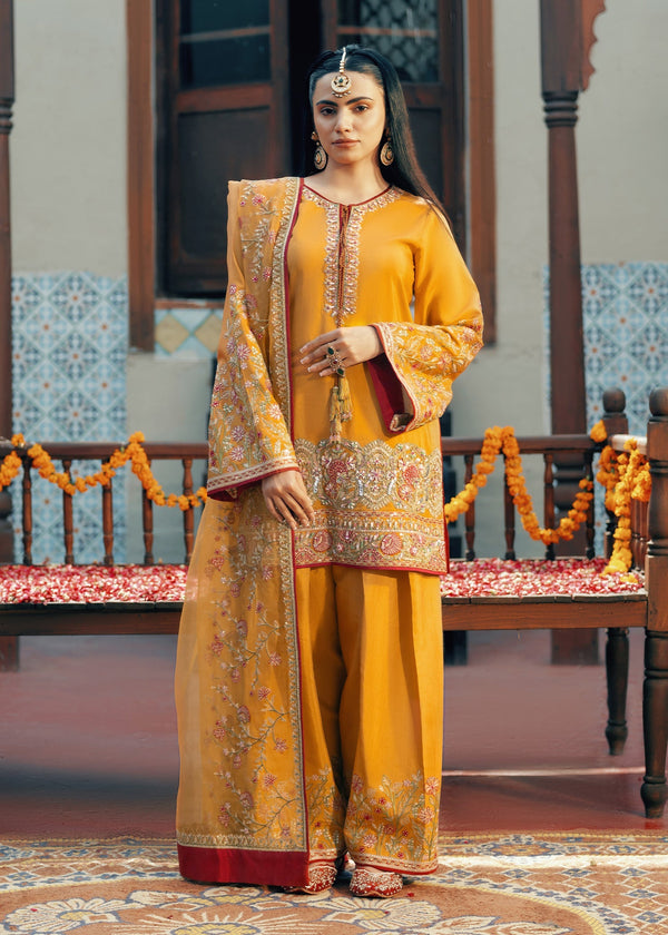Jamnii | Noor e Nazakat | Rang-e-Mehfil - by - Libasekhas UK - Registered Vendor of : Jamnii - 100% Original Designer Dresss