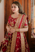 MNR | Zarlish Festive 25 | Rabia Jabbar in Bia Jaan - by Libasekhas UK - Registered Vendor of : MNR - 100% Original Designer Dress