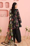 Maria B | Pre Fall Dresses | 3 Piece Embroidered Cotton Suit Black - by Libasekhas UK - Registered Vendor of : Maria B - 100% Original Designer Dress