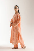 Ethnic | Rozana Collection 25 | Embroidered Dress 06A - by Libasekhas UK - Registered Vendor of : Ethnic - 100% Original Designer Dress