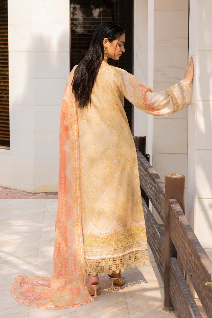 Ellena | Signature Embroidered Collection 25 | A-06 - Ladies Clothes -  Libasekhas
