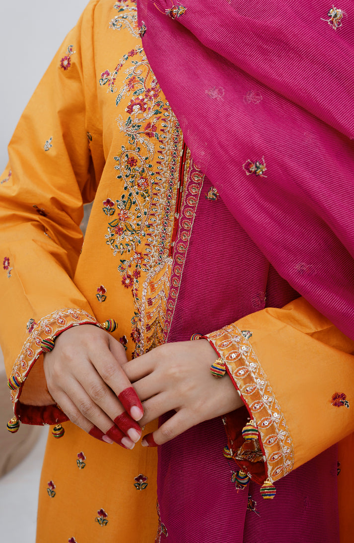 Emaan Adeel | Gul Mohr Eid Pret | WASHMA - by - Libasekhas UK - Registered Vendor of : Emaan Adeel - 100% Original Designer Dresss