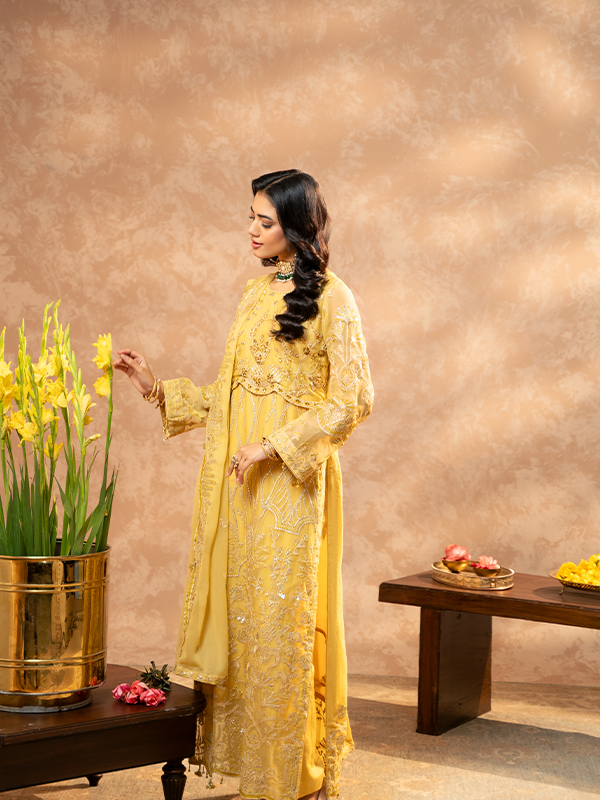 Zebtan | Zeenat Festive Collection | ZN-01 - by - Libasekhas UK - Registered Vendor of : Zebtan - 100% Original Designer Dresss