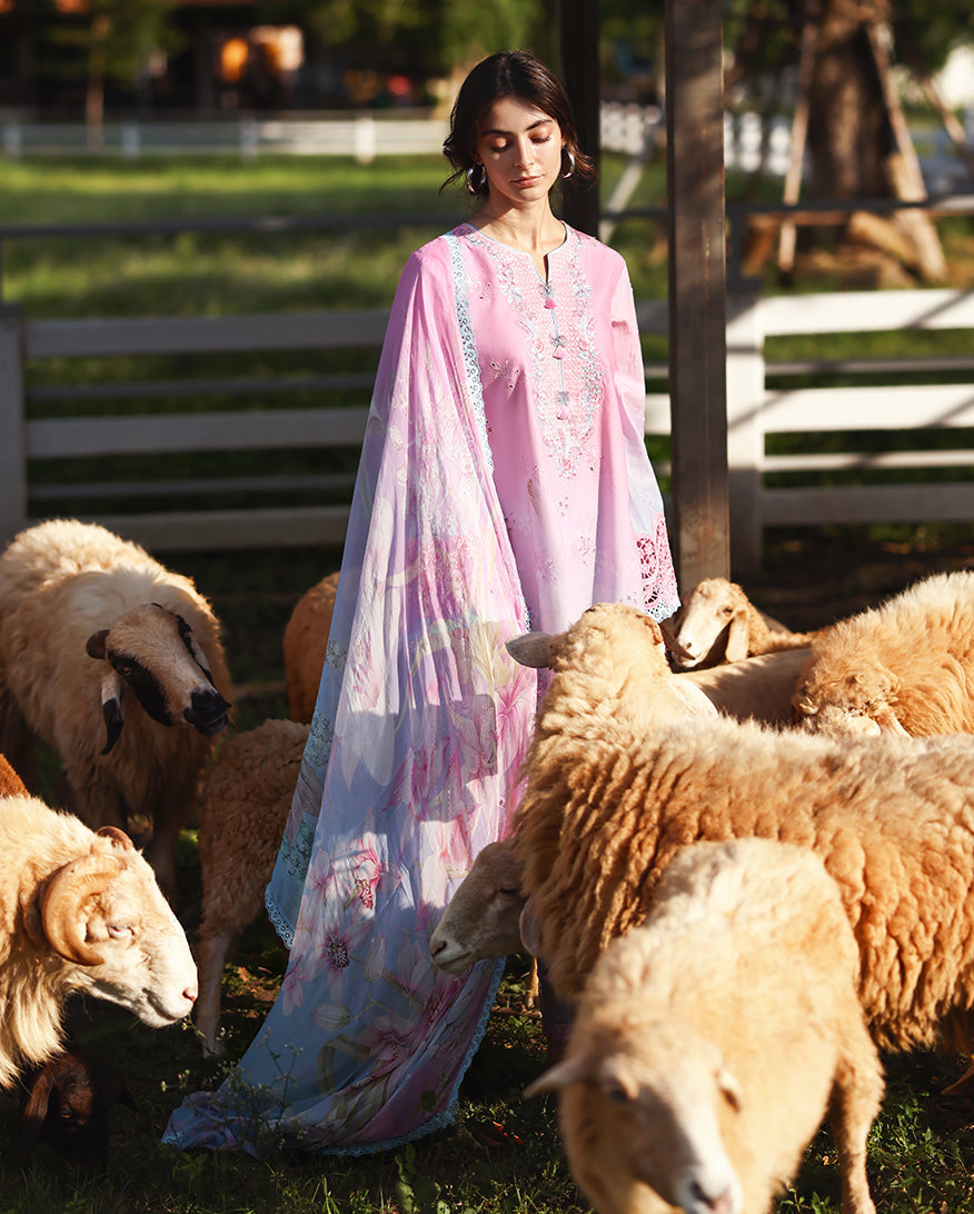 Mushq | Solace Ombre Chikankari | Faint Blossom - by Libasekhas - Registered Vendor of : Mushq - 100% Original Designer Dress