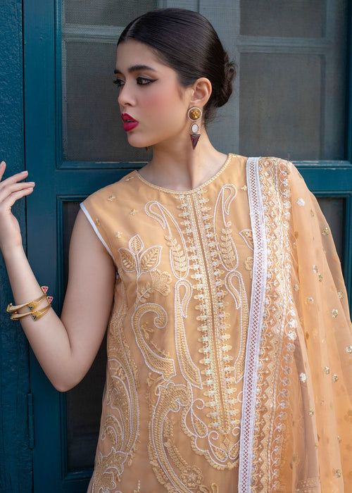 Ali Xeeshan | Chanda Luxury Pret | Inara - by - Libasekhas UK - Registered Vendor of : Ali Xeeshan - 100% Original Designer Dresss