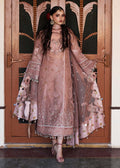 Hussain Rehar | Darlings Festive 25 | Danara - by - Libasekhas UK - Registered Vendor of : Hussain Rehar - 100% Original Designer Dresss