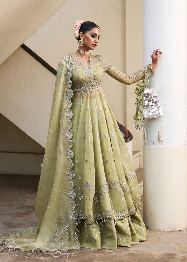 Hussain Rehar | Darlings Festive 25 | Tahiri - by - Libasekhas UK - Registered Vendor of : Hussain Rehar - 100% Original Designer Dresss