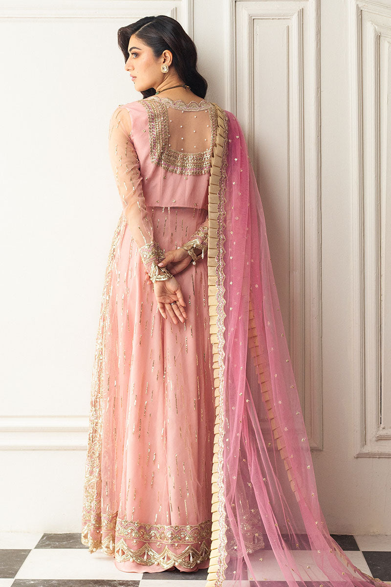 Mushq | Hemline Aura Debut Wedding Formals | AMARANTH - by - Libasekhas UK - Registered Vendor of : Mushq - 100% Original Designer Dresss