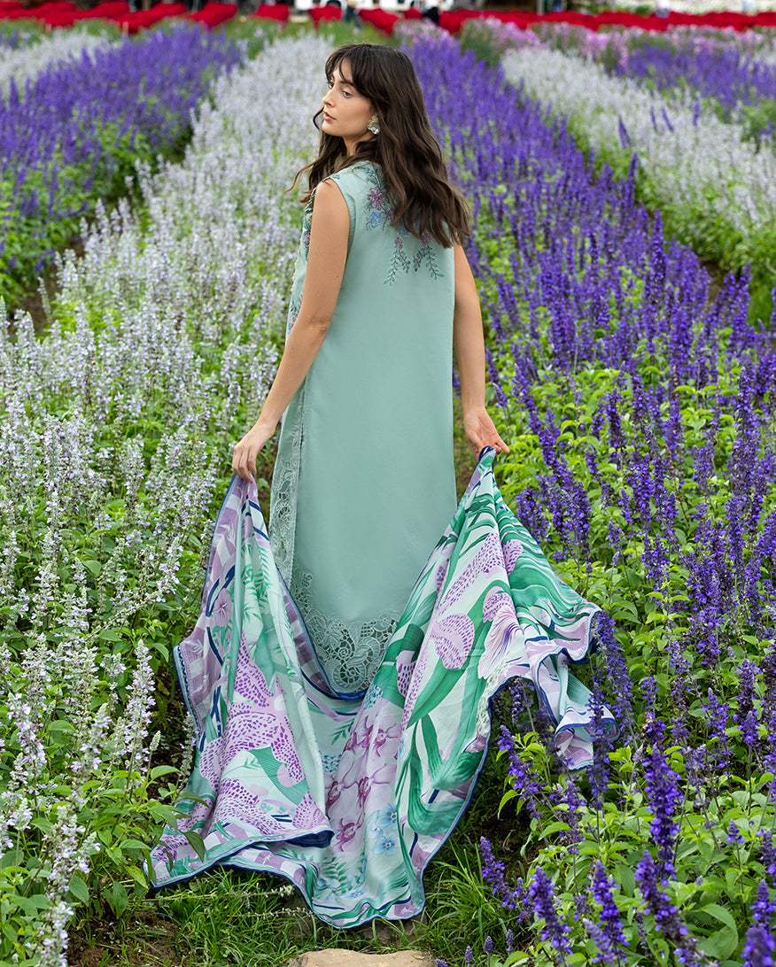 Mushq | Hemline the Secret Garden | Hummingbird Haven - by Libasekhas UK - Registered Vendor of : Mushq - 100% Original Designer Dress