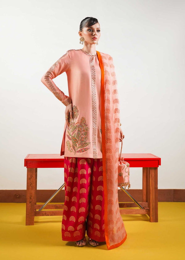 Hussain Rehar | Basic Not Basic |  Blush - by - Libasekhas UK - Registered Vendor of : Hussain Rehar - 100% Original Designer Dresss