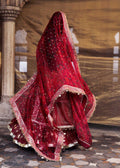 Hussain Rehar | Luxury Festive FW/24 | Gulal - by - Libasekhas UK - Registered Vendor of : Hussain Rehar - 100% Original Designer Dresss
