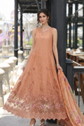 Noor by Saadia Asad | Eid Luxe Chikankari 26 | D6 - Apricot Allure - by Libasekhas UK - Registered Vendor of : Noor by Saadia Asad - 100% Original Designer Dress
