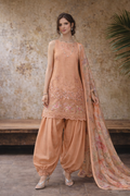 Noor by Saadia Asad | Eid Luxe Chikankari 26 | D6 - Apricot Allure - by Libasekhas UK - Registered Vendor of : Noor by Saadia Asad - 100% Original Designer Dress