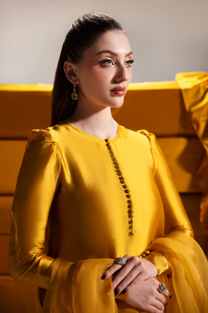 Raja Salahuddin | House of Mina |Daisy - by - Libasekhas UK - Registered Vendor of : Raja Salahuddin - 100% Original Designer Dresss