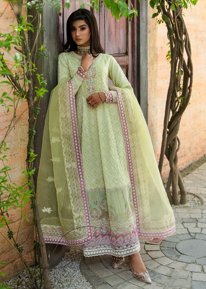 Maria Osama Khan | Rang e Noor Eid Edit | Nargis - by - Libasekhas UK - Registered Vendor of : Maria Osama Khan - 100% Original Designer Dresss