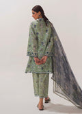 Image | Spring Basics 25 | IMPRSS-213973-12552 - by - Libasekhas UK - Registered Vendor of : Image - 100% Original Designer Dresss