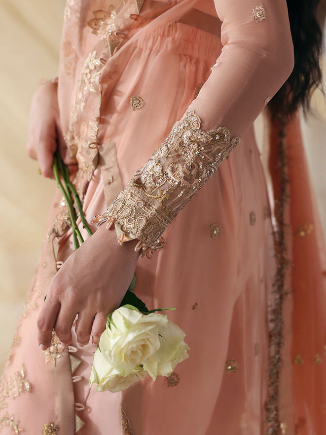 Parishay | Jahanara Luxury Formals | JRA - 01 - by Libasekhas UK - Registered Vendor of : Parishay - 100% Original Designer Dress
