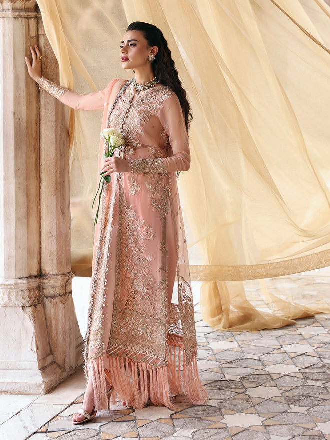 Parishay | Jahanara Luxury Formals | JRA - 01 - by Libasekhas UK - Registered Vendor of : Parishay - 100% Original Designer Dress