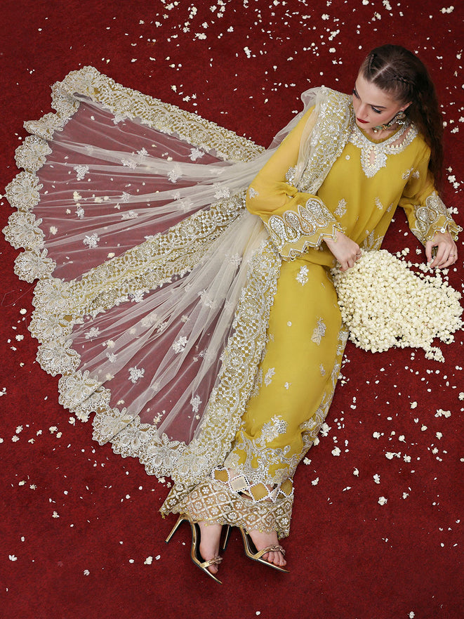 Parishay | Jahanara Luxury Formals | JRA - 03 - by Libasekhas UK - Registered Vendor of : Parishay - 100% Original Designer Dress