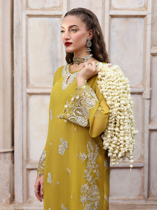 Parishay | Jahanara Luxury Formals | JRA - 03 - by Libasekhas UK - Registered Vendor of : Parishay - 100% Original Designer Dress