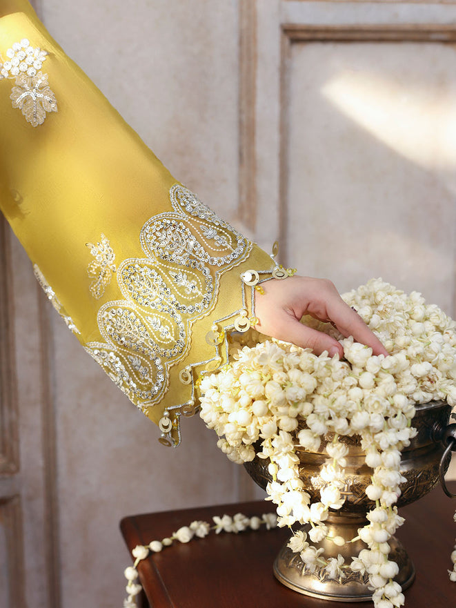 Parishay | Jahanara Luxury Formals | JRA - 03 - by Libasekhas UK - Registered Vendor of : Parishay - 100% Original Designer Dress