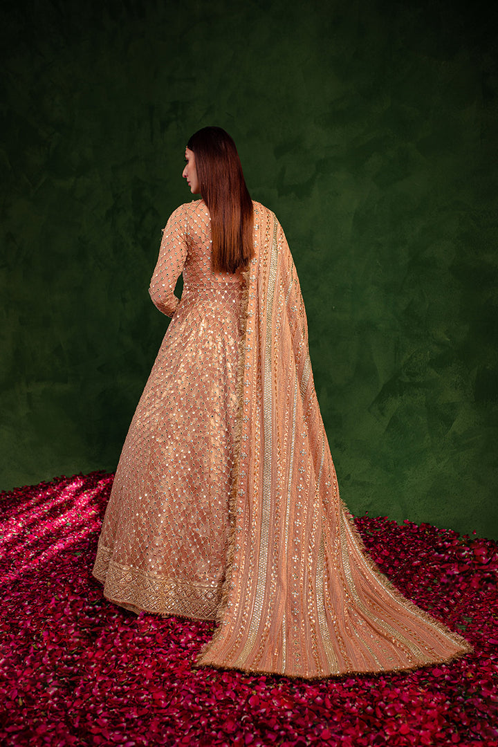 Maria Osama Khan | Salma Sitara | VASL - by - Libasekhas UK - Registered Vendor of : Maria Osama Khan - 100% Original Designer Dresss