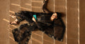 Maria B | Pre fall Dresses | MBS-W25-10 BL - by Libasekhas UK - Registered Vendor of : Maria B - 100% Original Designer Dress