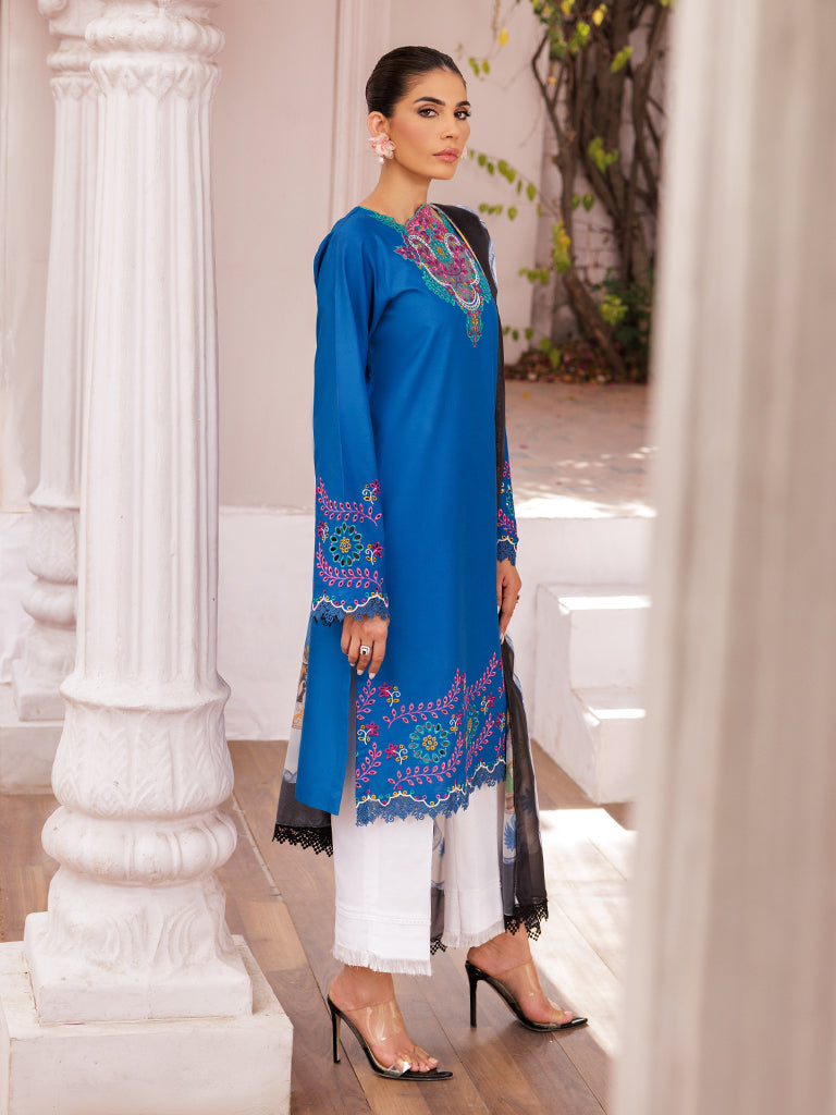 Rajbari | Nissa Chikankari Edition 25 | D# - 04 - by - Libasekhas UK - Registered Vendor of : Rajbari - 100% Original Designer Dresss