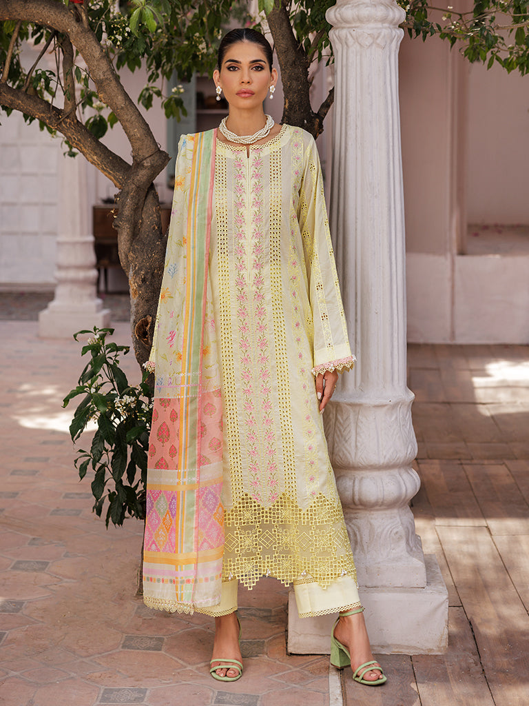 Rajbari | Nissa Chikankari Edition 25 | D# - 09 - by - Libasekhas UK - Registered Vendor of : Rajbari - 100% Original Designer Dresss