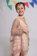 Maria B | 3 Piece Embroidered Organza Suit | MKS-EF24-18 - by - Libasekhas UK - Registered Vendor of : Maria B - 100% Original Designer Dresss