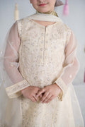 Maria B | 3 Piece Embroidered Organza Suit | MKS-EA24-25 - by - Libasekhas UK - Registered Vendor of : Maria B - 100% Original Designer Dresss