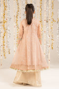 2 Piece Embroidered Organza Suit - Kids Clothing - available at Maria Faisal in UK and USA.