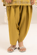 2 Piece Embellished Organza Suit - Kids Clothing - available at Maria Faisal in UK and USA.