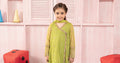 Maria B | 3 Piece Embroidered Net Suit | MKS-PF24-05 - by - Libasekhas UK - Registered Vendor of : Maria B - 100% Original Designer Dresss