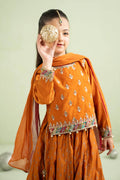 3 Piece Embroidered Silk Net Suit - Kids Clothing - available at Maria Faisal in UK and USA.