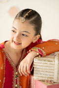 3 Piece Embroidered Organza Suit - Kids Clothing - available at Maria Faisal in UK and USA.