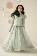 3 Piece Embroidered Organza Suit - Kids Clothing - available at Maria Faisal in UK and USA.