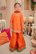 Maria B | 3 Piece Embroidered Raw Silk Suit | MKS-W24-31 - by - Libasekhas UK - Registered Vendor of : Maria B - 100% Original Designer Dresss