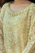 Mushq | Saugaat City of Lights | Faryal - by - Libasekhas UK - Registered Vendor of : Mushq - 100% Original Designer Dresss