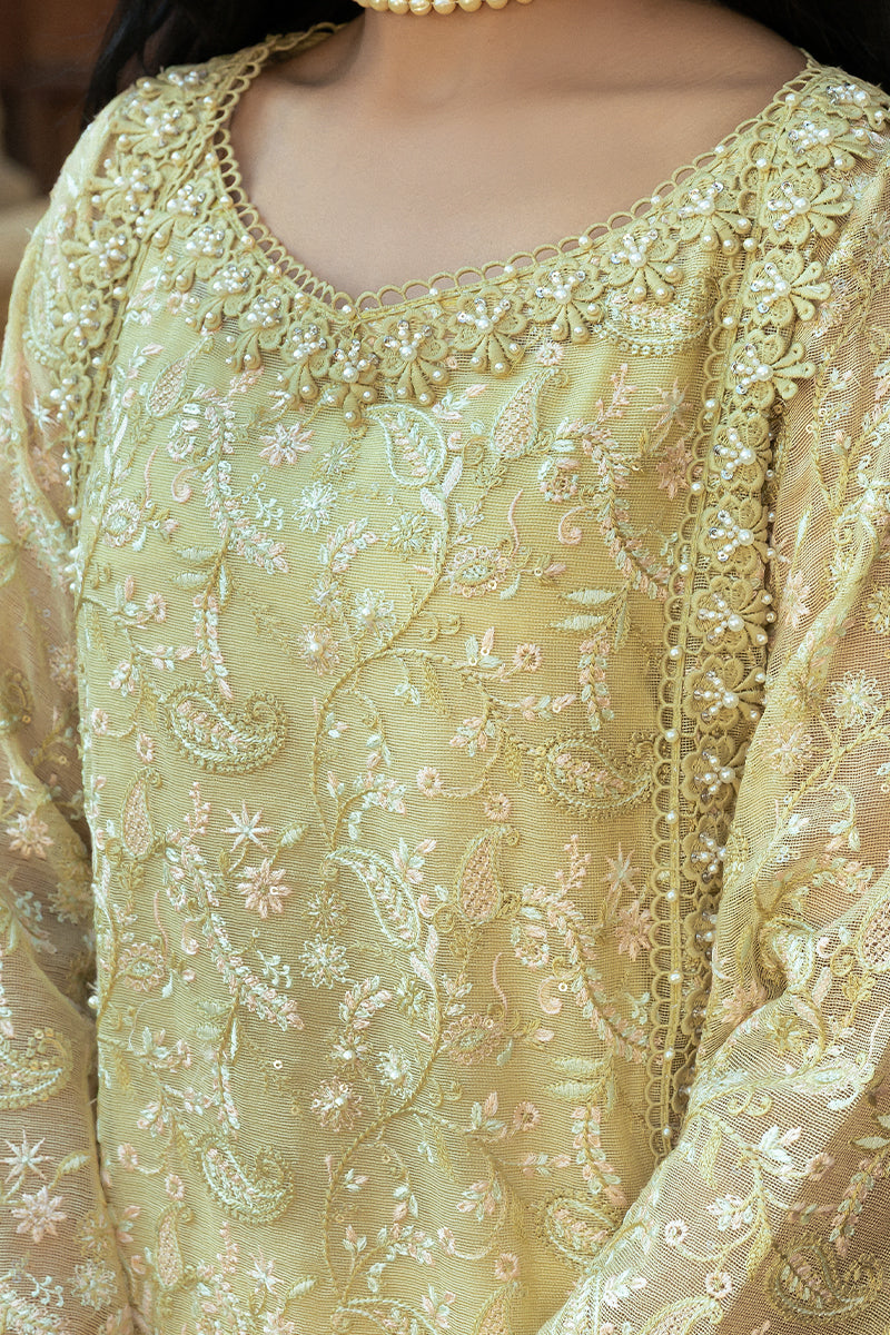 Mushq | Saugaat City of Lights | Faryal - by - Libasekhas UK - Registered Vendor of : Mushq - 100% Original Designer Dresss