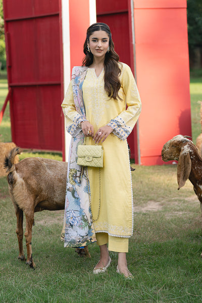 Maryum N Maria | Cosy Crew Winter Pret 25 | GULALI - MSS5768 - by Libasekhas UK - Registered Vendor of : Maryum N Maria - 100% Original Designer Dress
