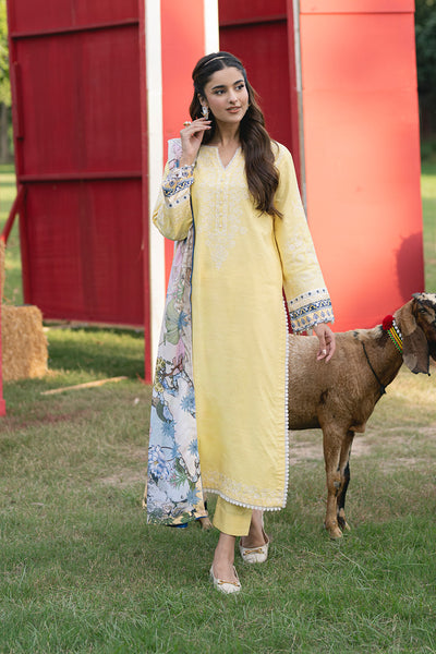 Maryum N Maria | Cosy Crew Winter Pret 25 | GULALI - MSS5768 - by Libasekhas UK - Registered Vendor of : Maryum N Maria - 100% Original Designer Dress