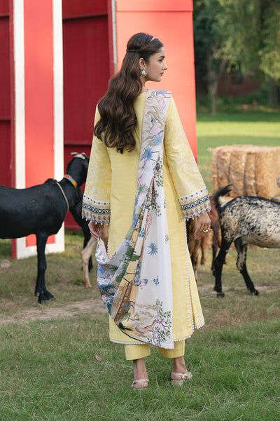 Maryum N Maria | Cosy Crew Winter Pret 25 | GULALI - MSS5768 - by Libasekhas UK - Registered Vendor of : Maryum N Maria - 100% Original Designer Dress