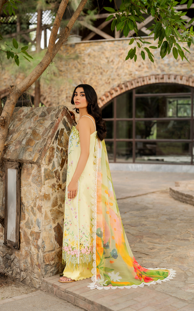 Asifa and Nabeel | Meraki SUmmer 26 | Orchid MSSL-01 - by Libasekhas UK - Registered Vendor of : Asifa and Nabeel - 100% Original Designer Dress