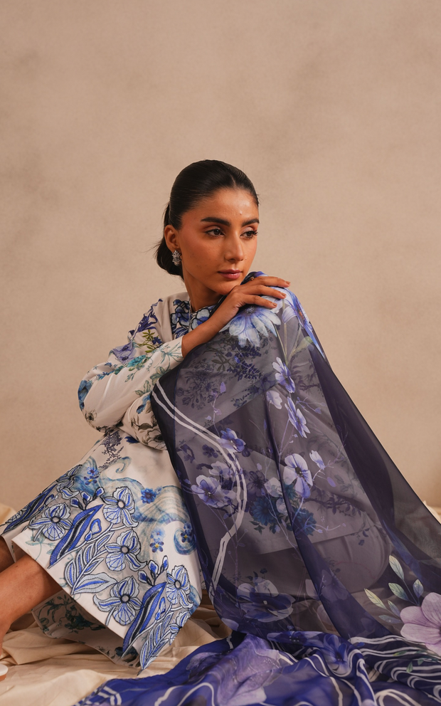 Asifa and Nabeel | Meraki SUmmer 26 | Starlit MSSL-03 - by Libasekhas UK - Registered Vendor of : Asifa and Nabeel - 100% Original Designer Dress