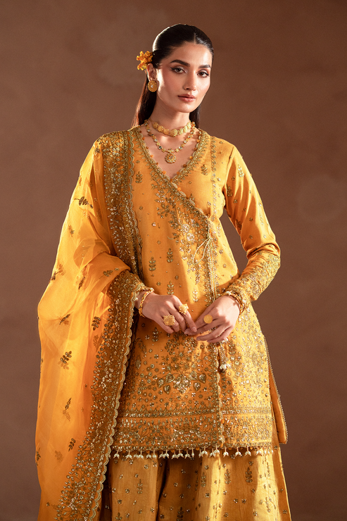 Emaan Adeel | Selene Formals | VELORIA - by - Libasekhas UK - Registered Vendor of : Emaan Adeel - 100% Original Designer Dresss
