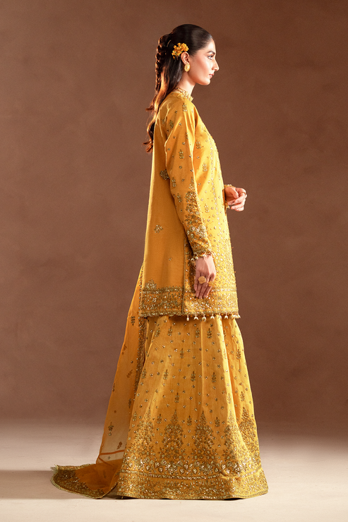 Emaan Adeel | Selene Formals | VELORIA - by - Libasekhas UK - Registered Vendor of : Emaan Adeel - 100% Original Designer Dresss