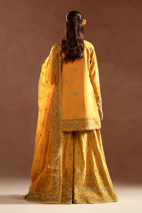 Emaan Adeel | Selene Formals | VELORIA - by - Libasekhas UK - Registered Vendor of : Emaan Adeel - 100% Original Designer Dresss