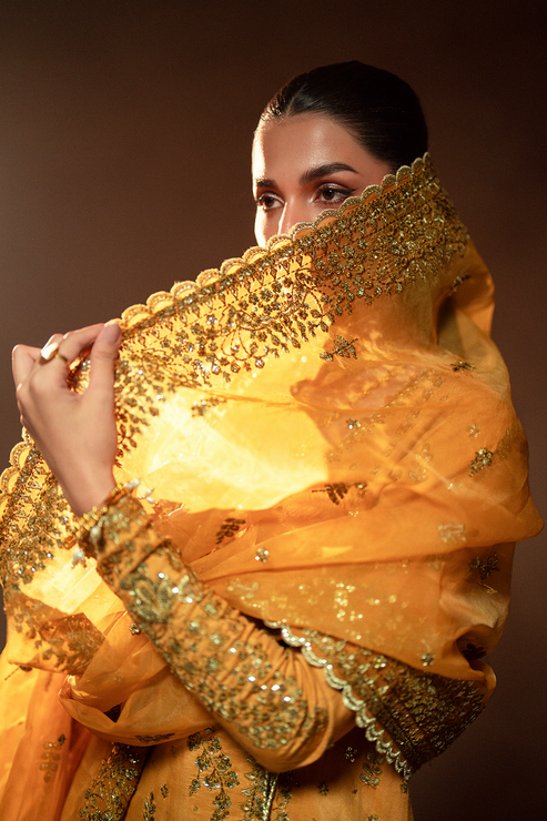 Emaan Adeel | Selene Formals | VELORIA - by - Libasekhas UK - Registered Vendor of : Emaan Adeel - 100% Original Designer Dresss