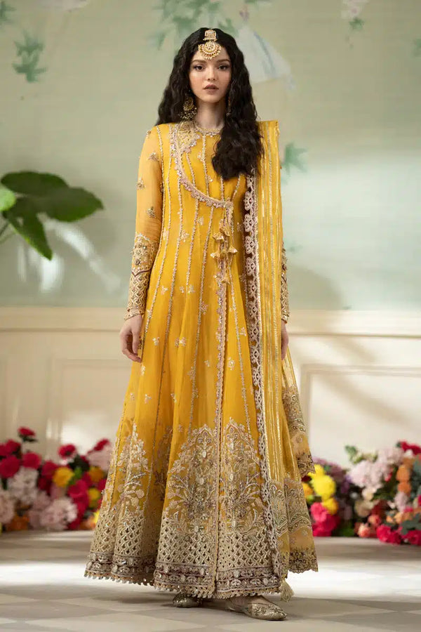 Qalamkar | Dilnaz Wedding Formals | DN-04 KANZA - by - Libasekhas UK - Registered Vendor of : Qalamkar - 100% Original Designer Dresss